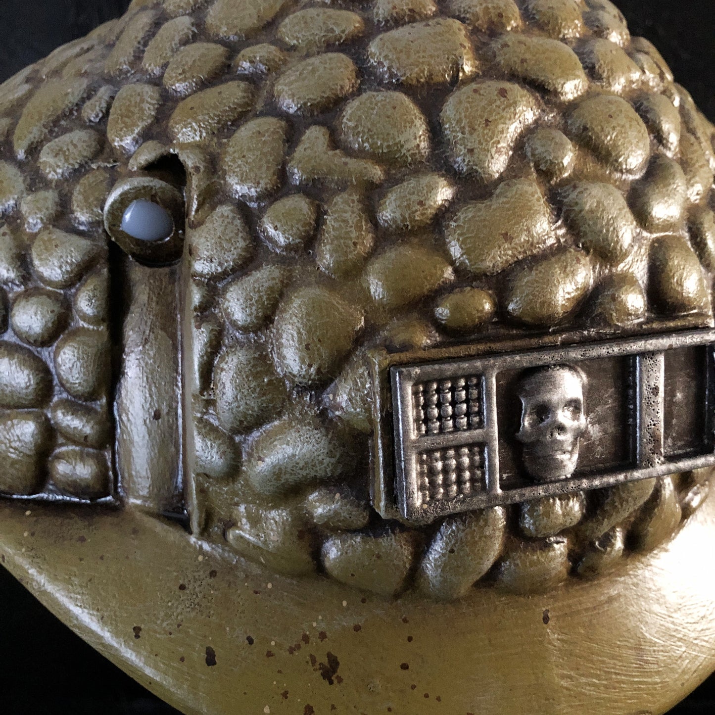helmet