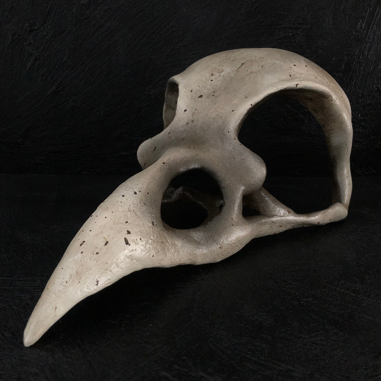 ANIMALS - Corvid Skull Mask