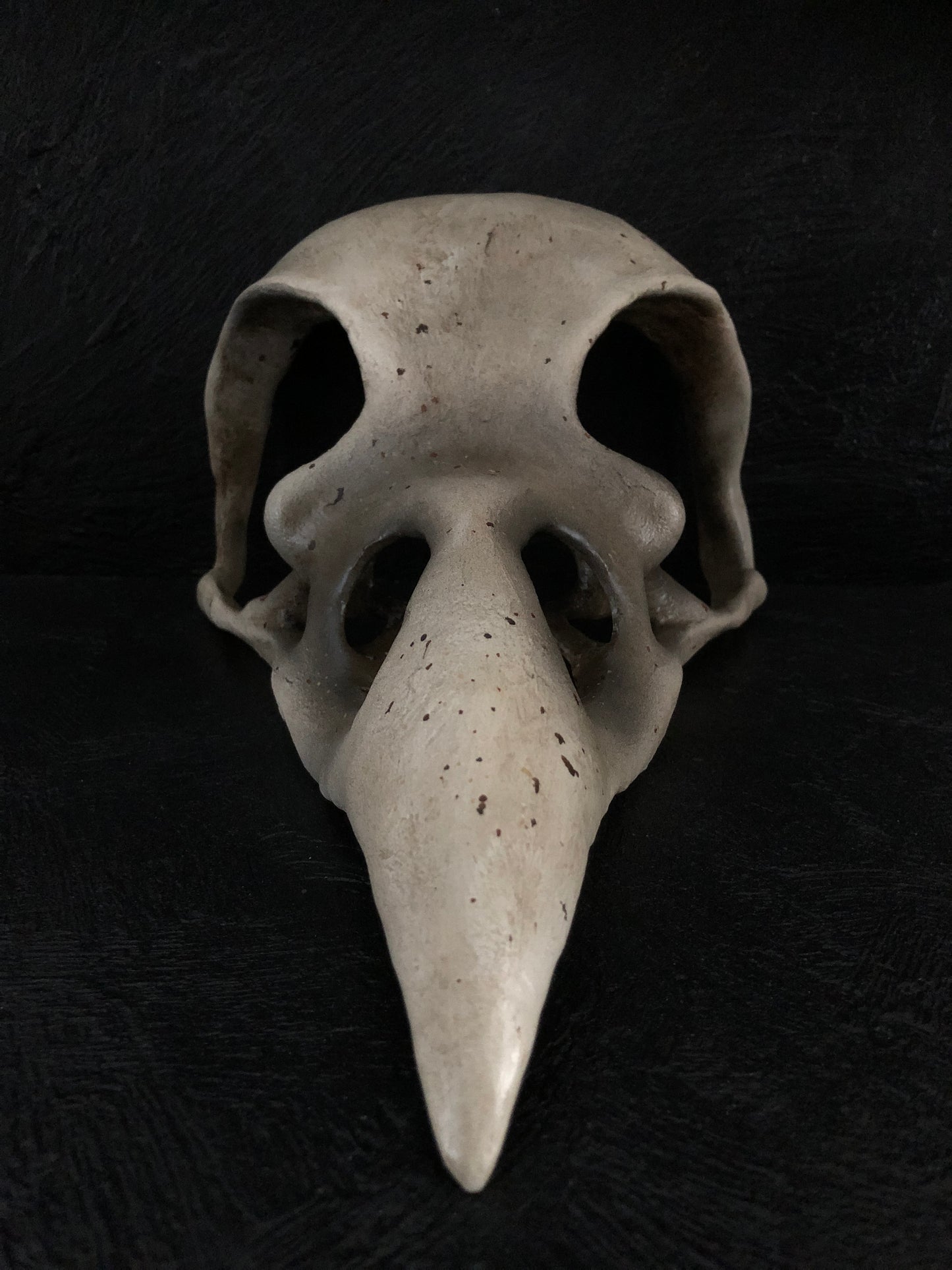 ANIMALS - Corvid Skull Mask