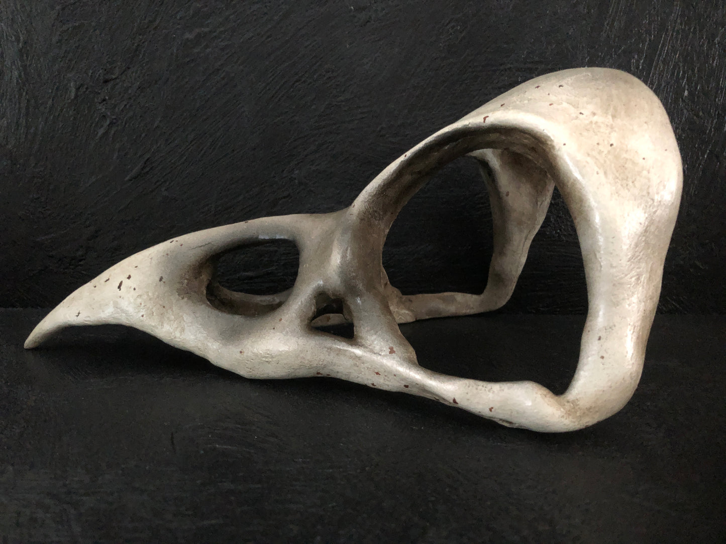 ANIMALS - Corvid Skull Mask