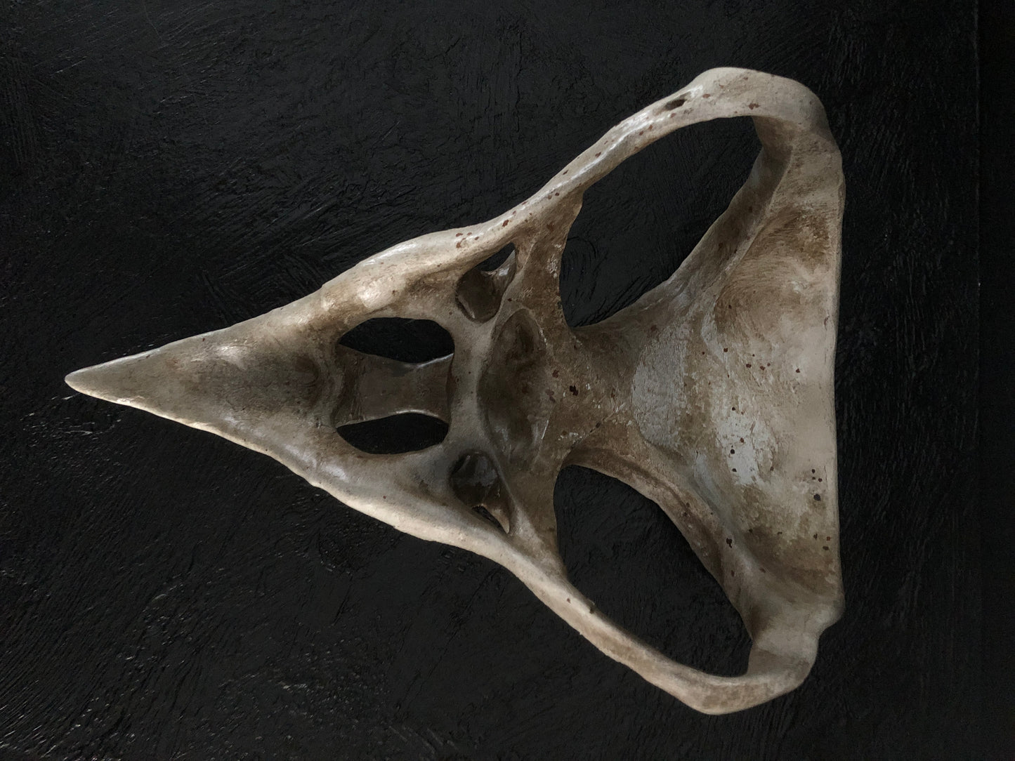 ANIMALS - Corvid Skull Mask
