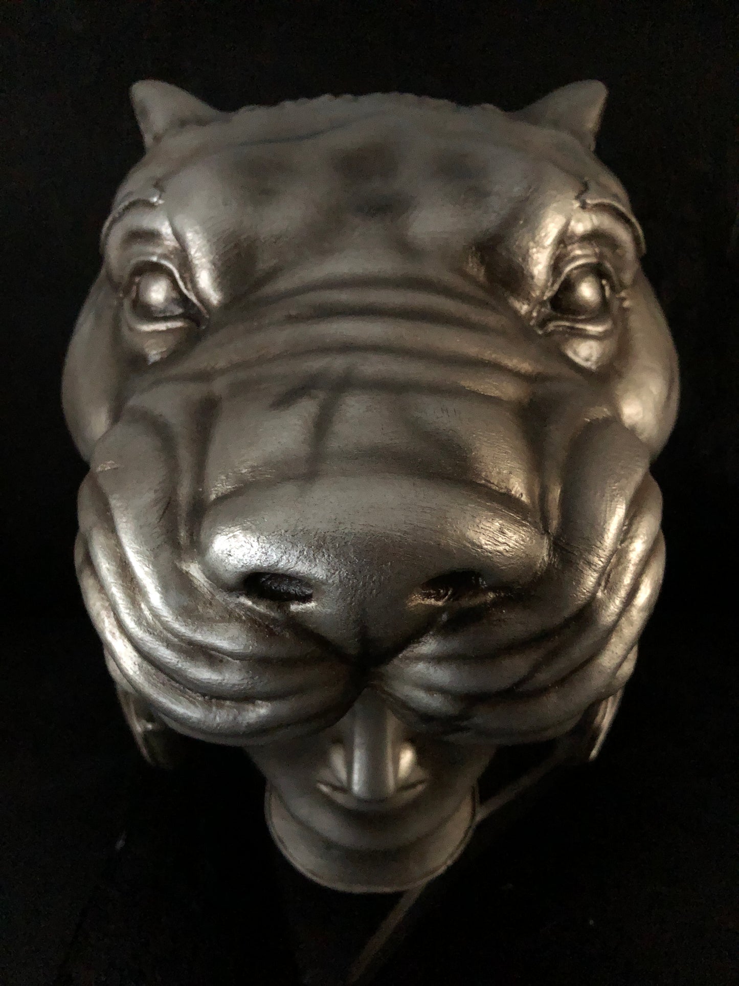 helmet