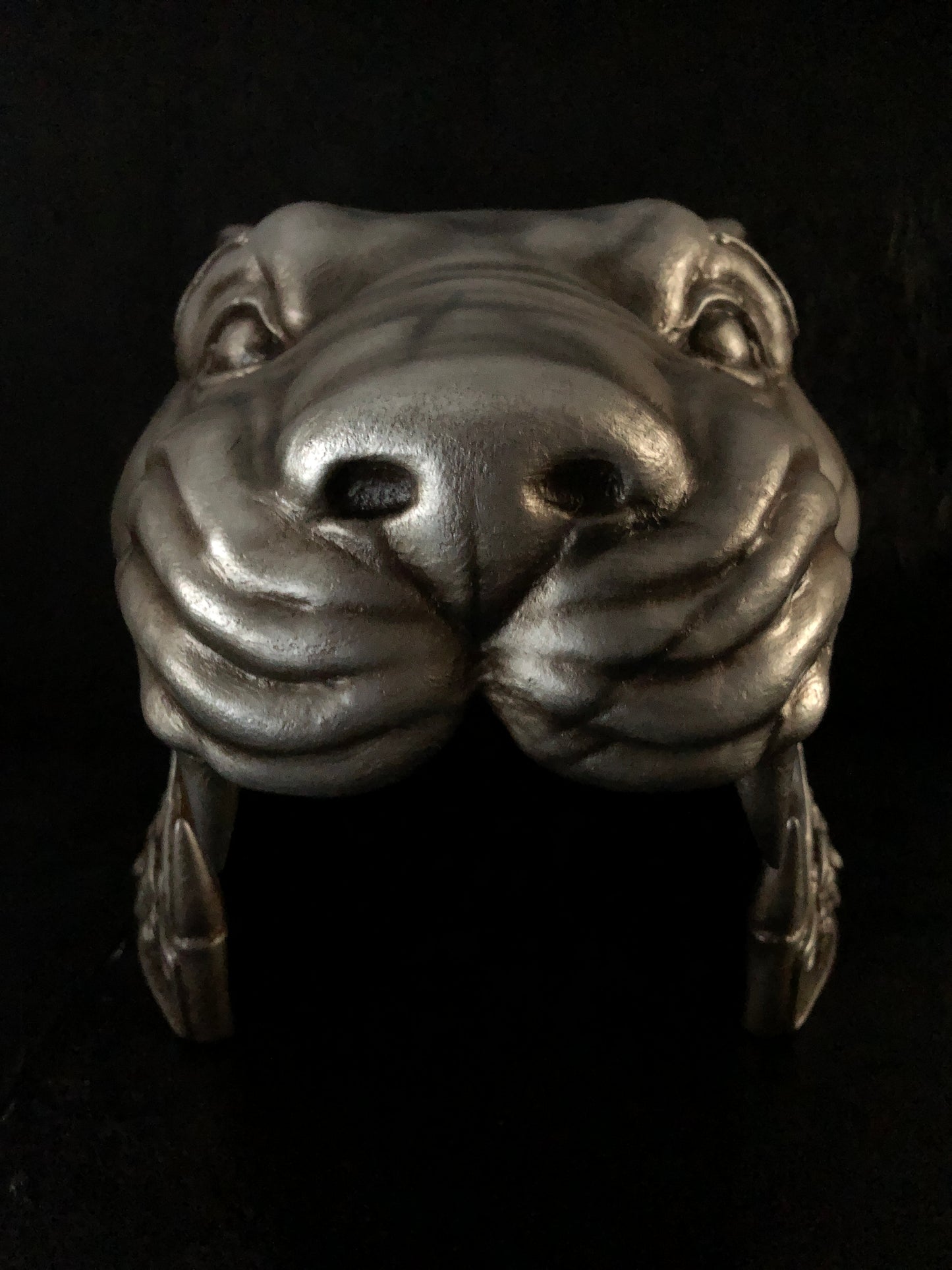 helmet