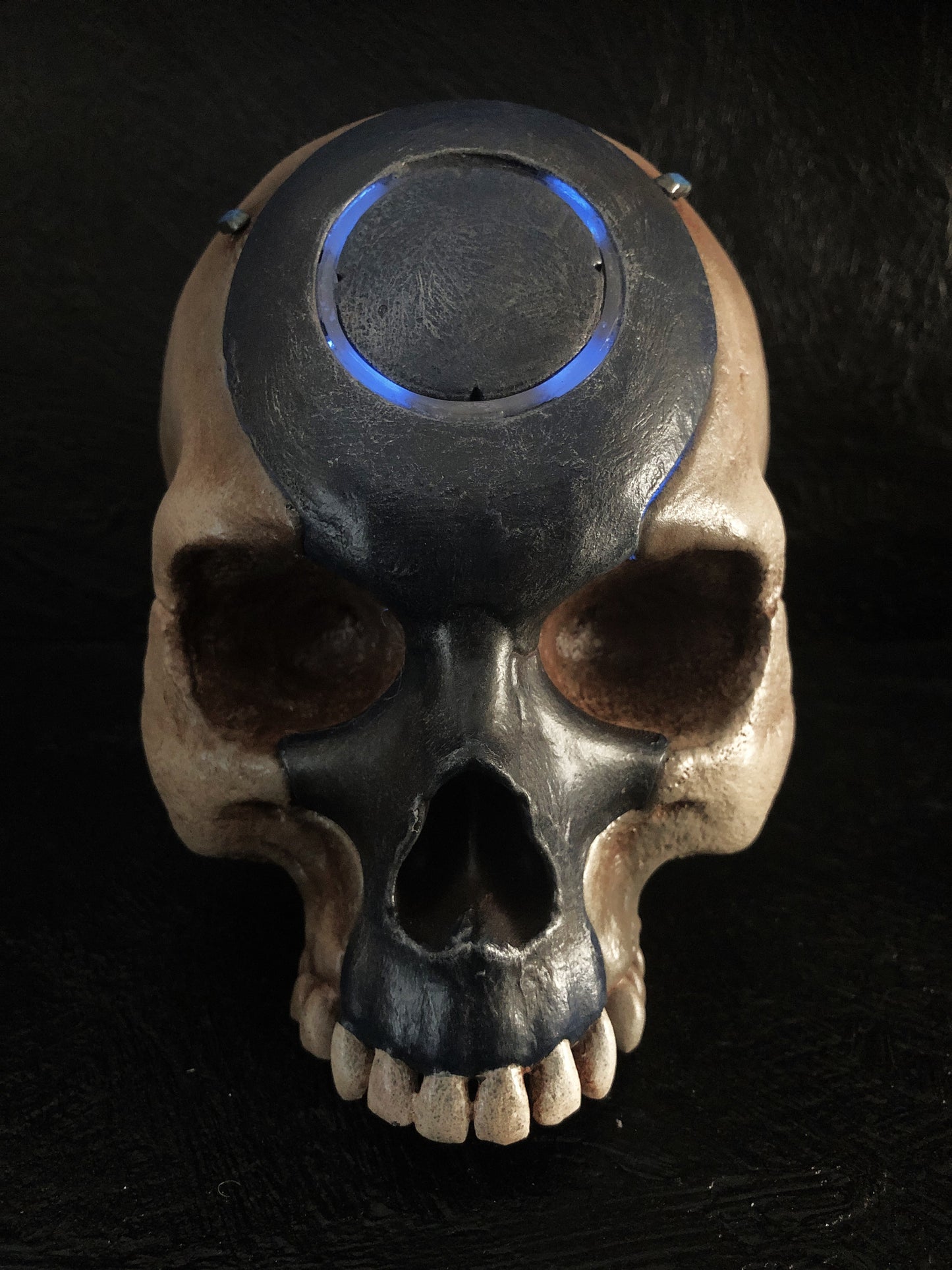 skull