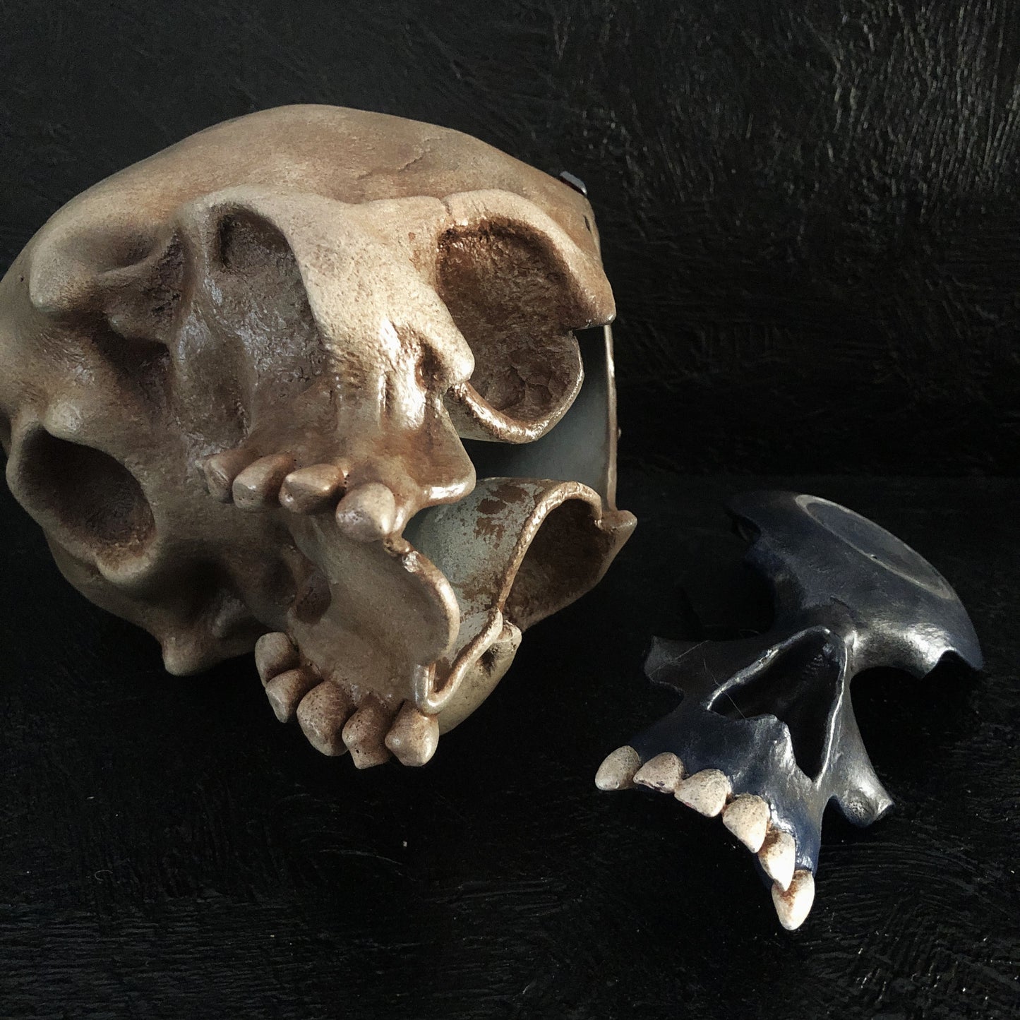 skull