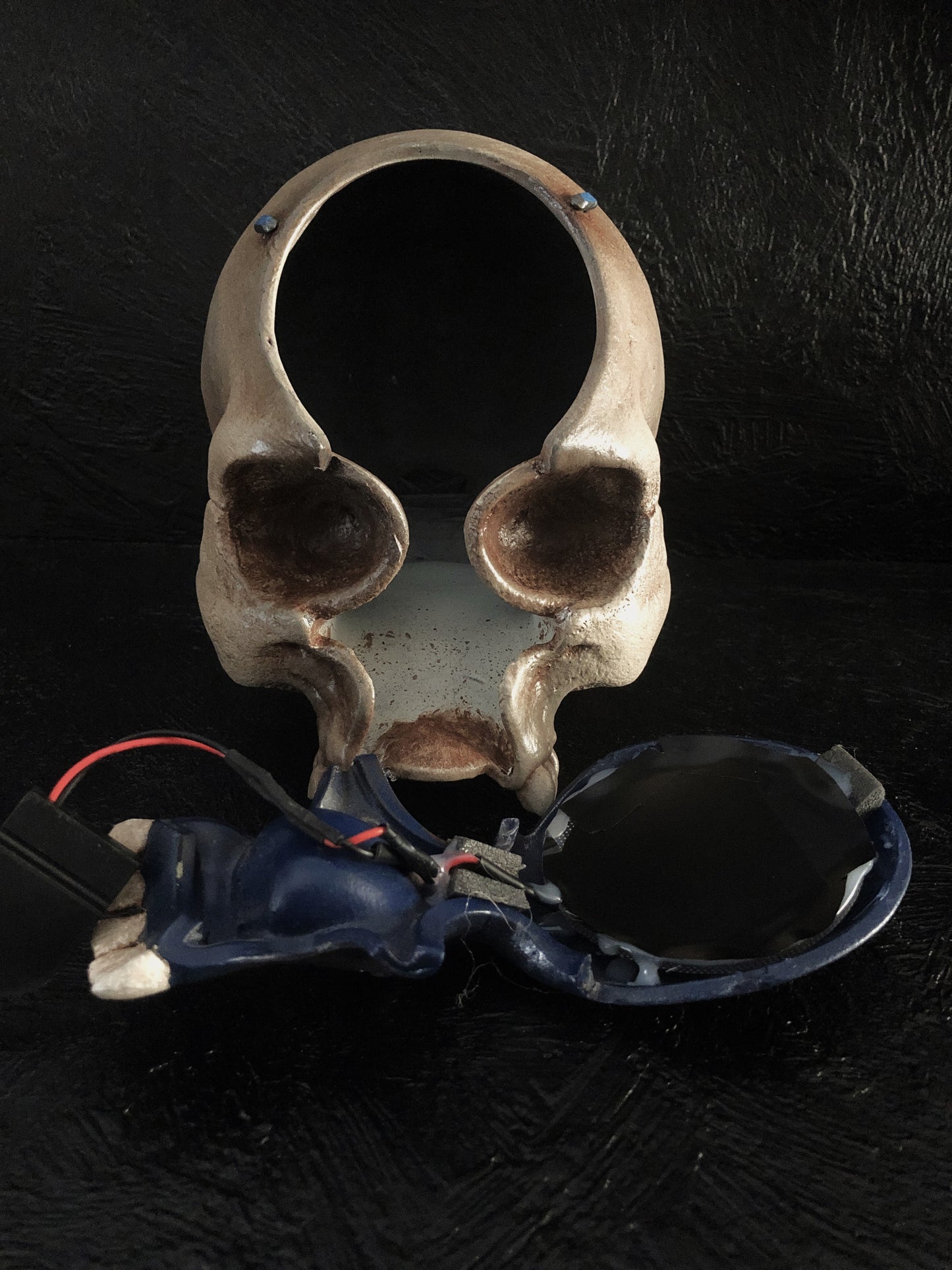 skull