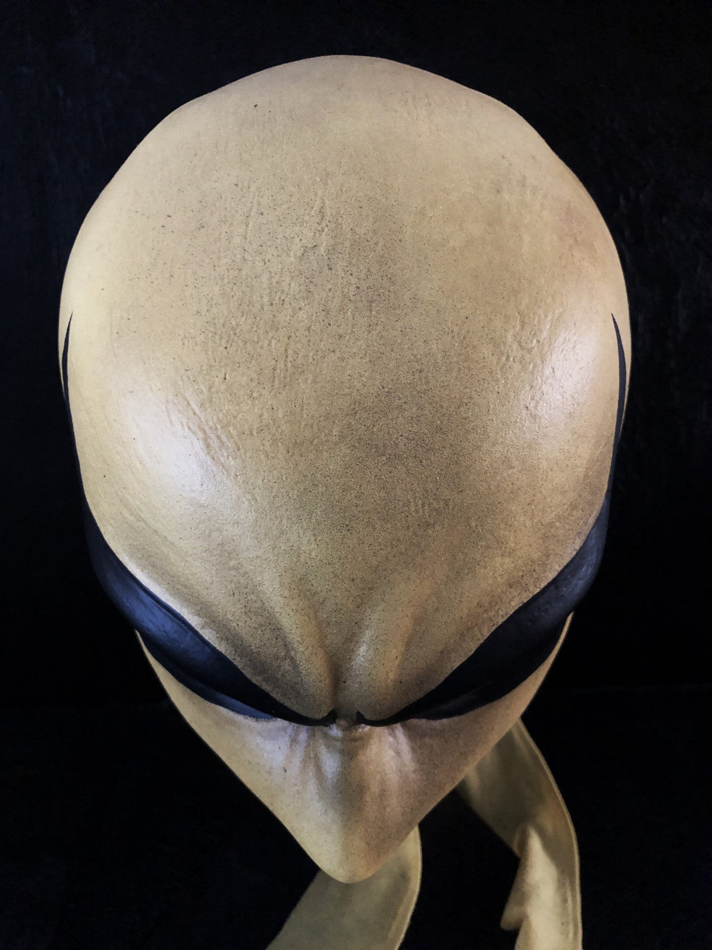 helmet