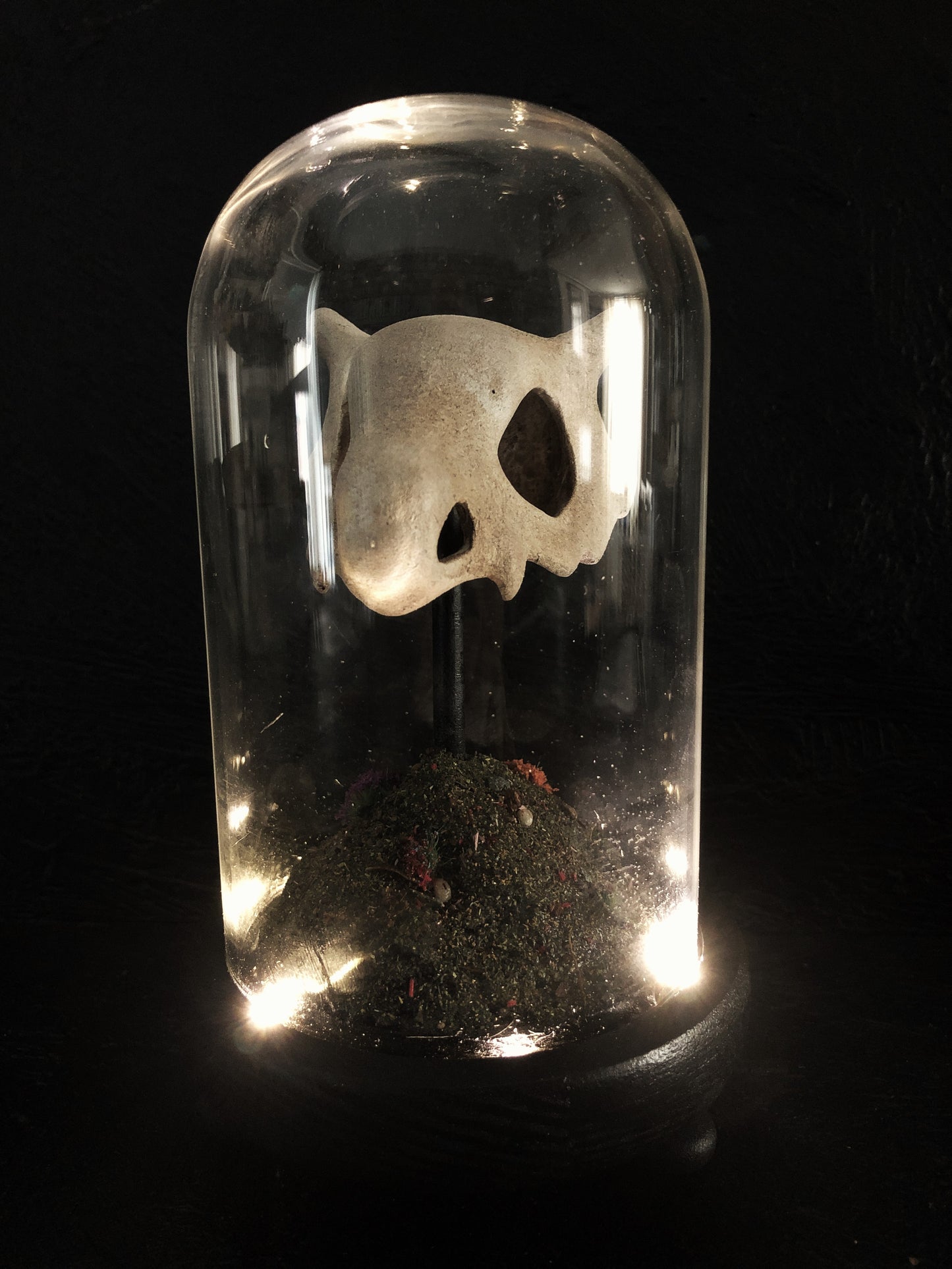 terrarium