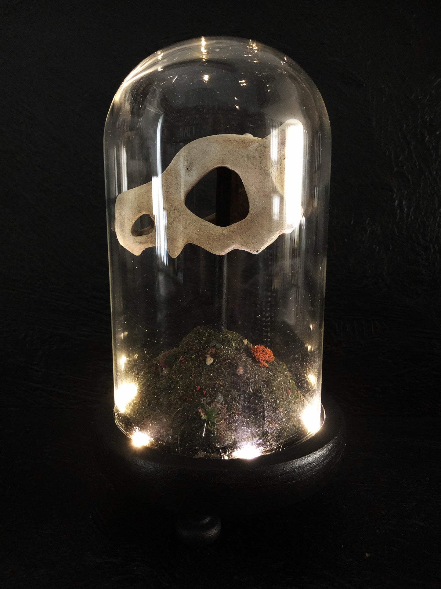terrarium