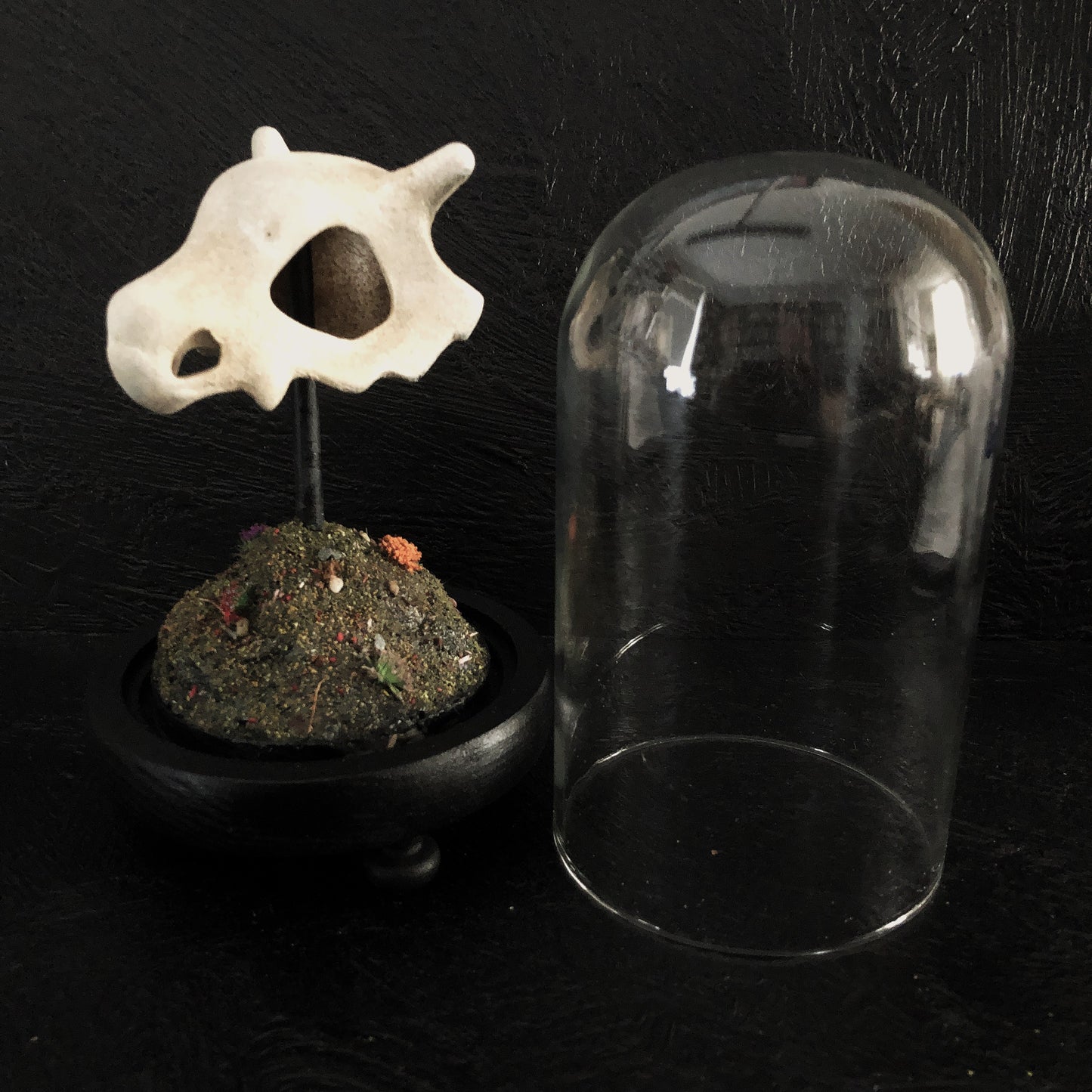 terrarium