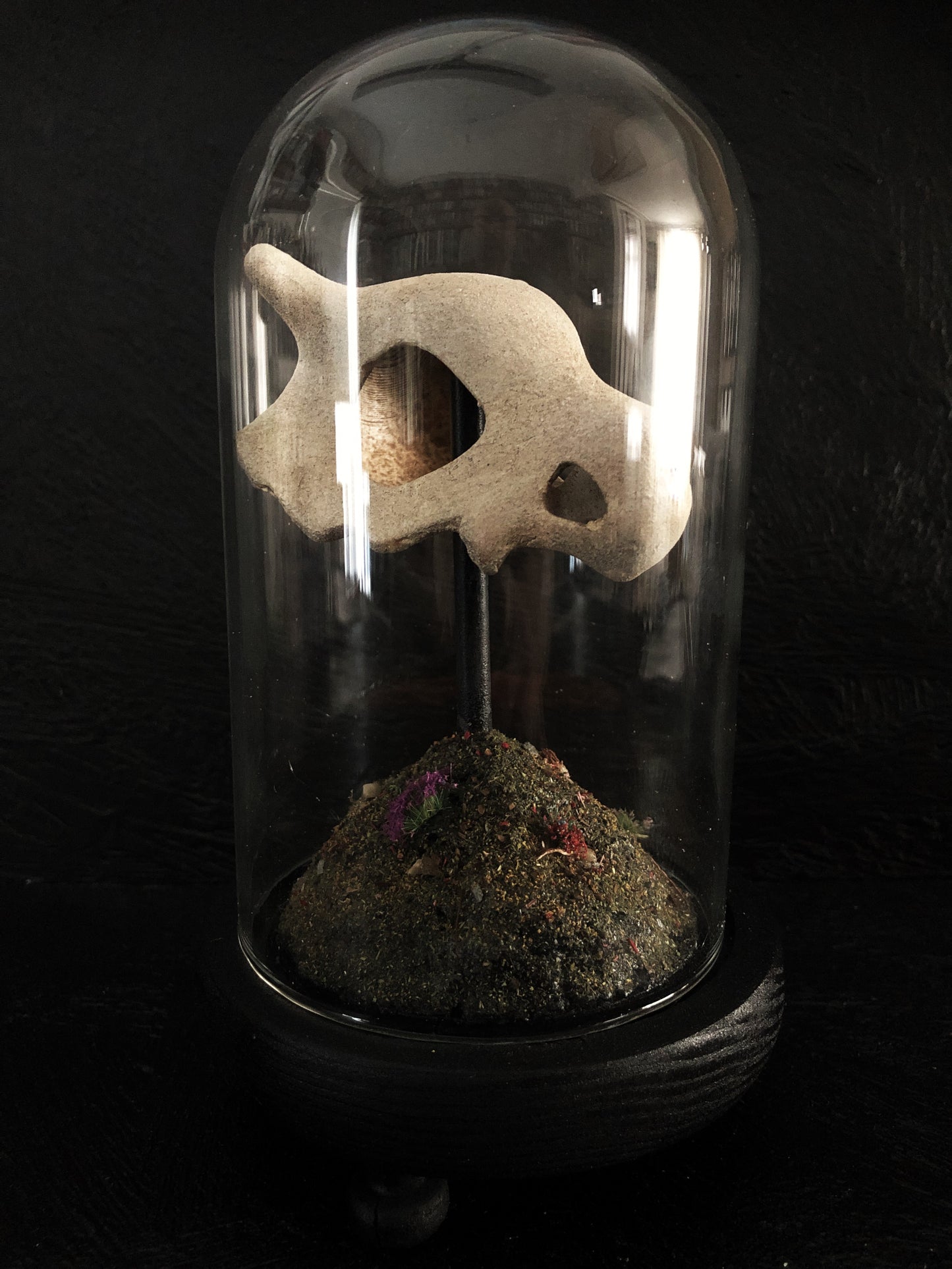 terrarium