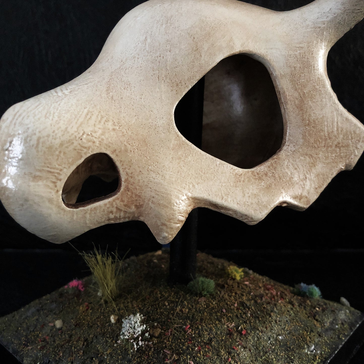 skull