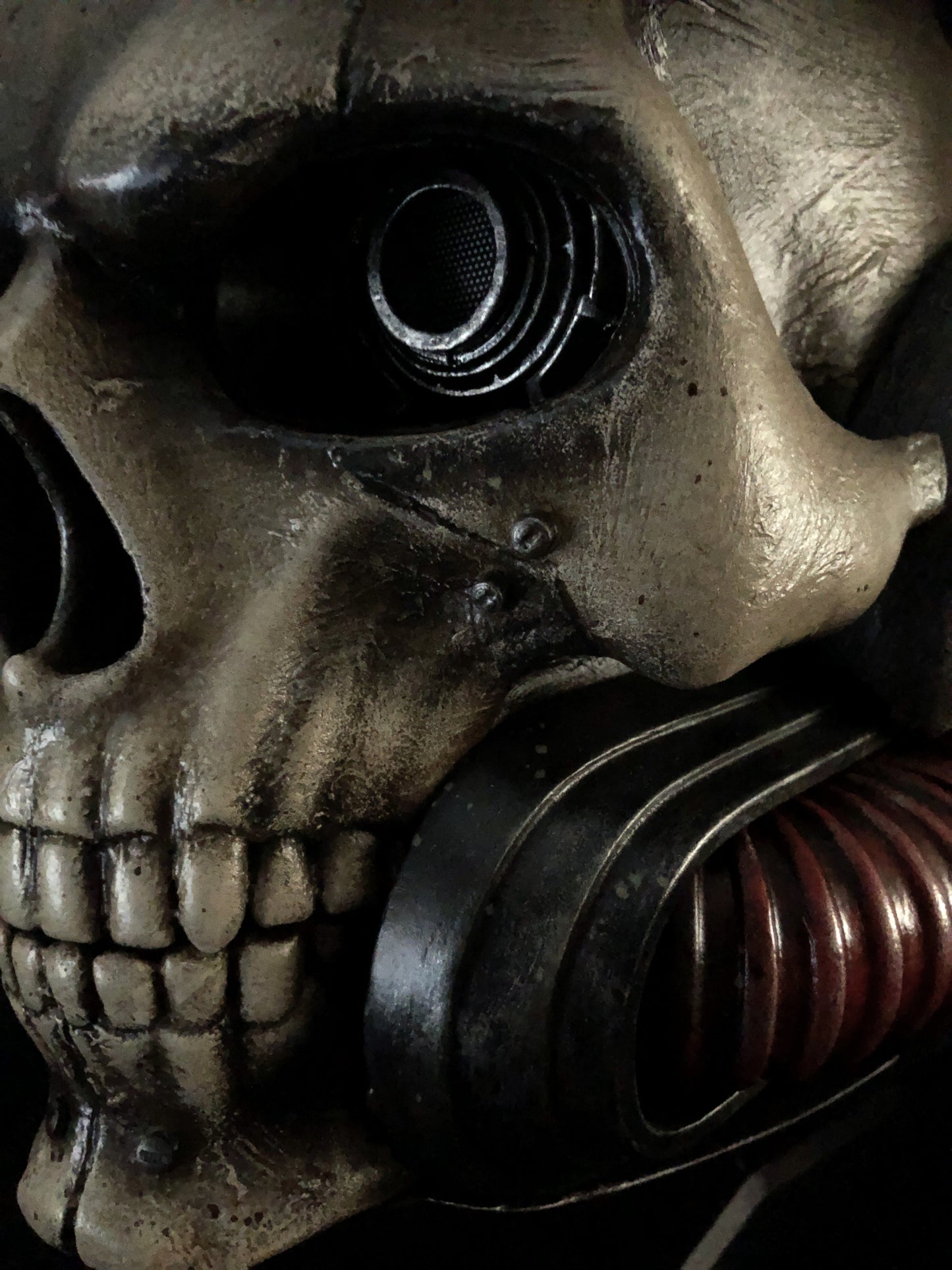 helmet