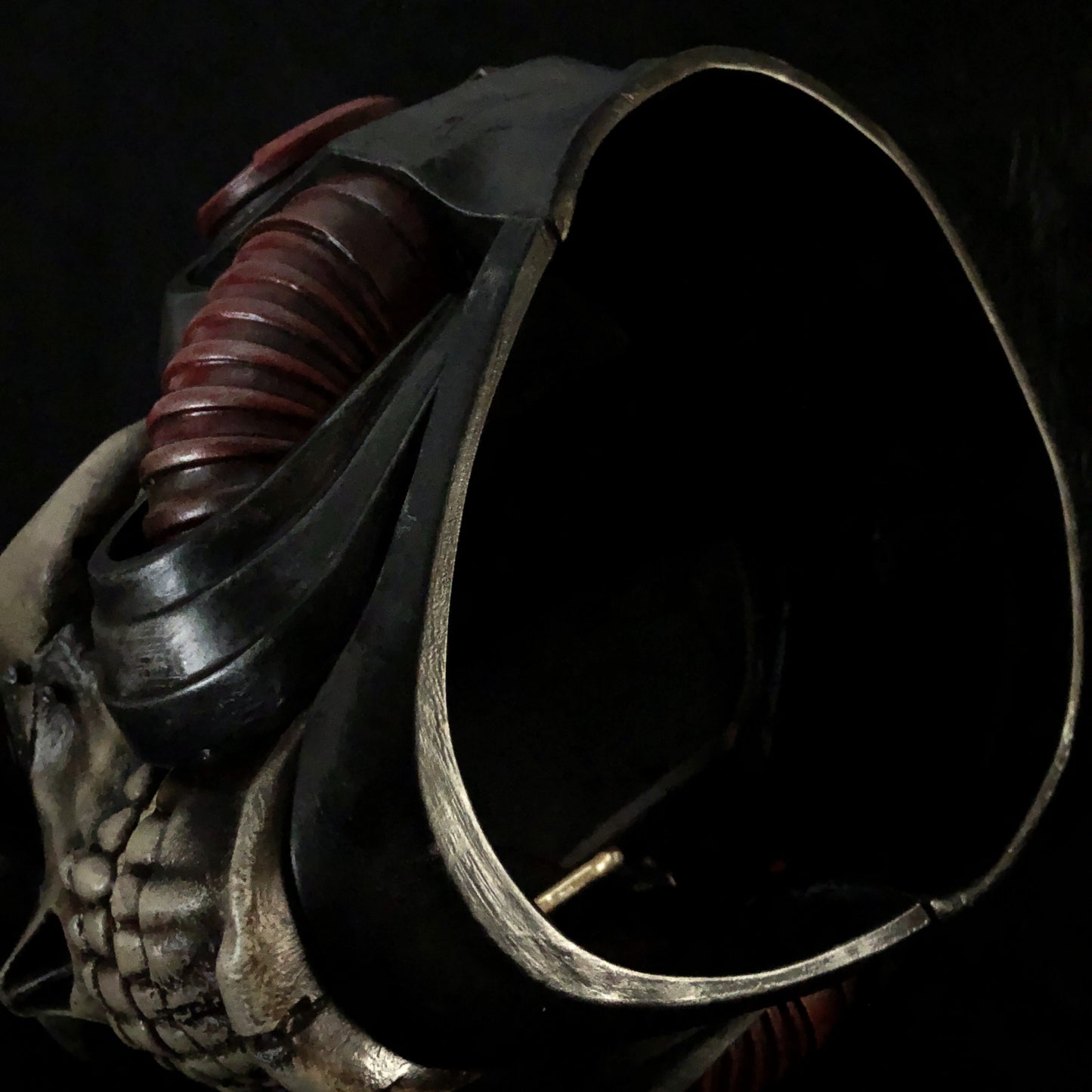 helmet