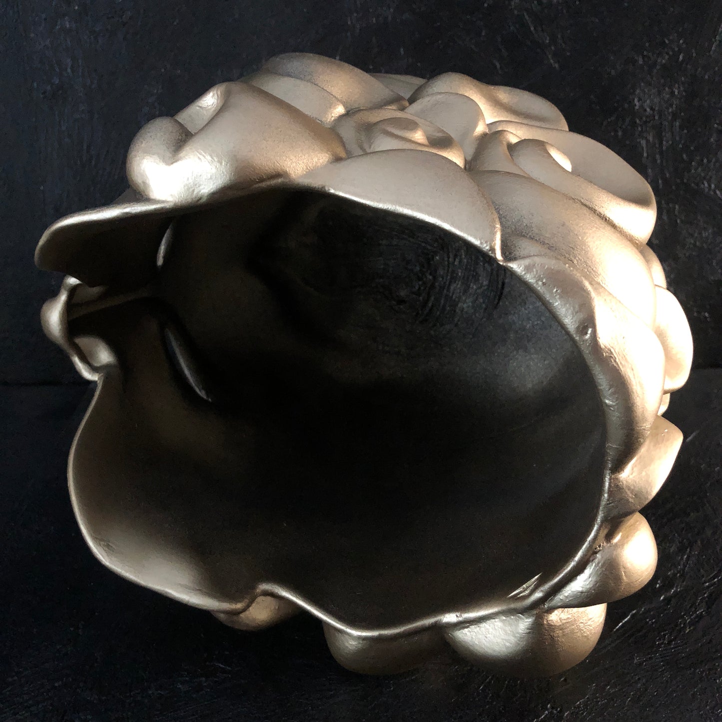 helmet