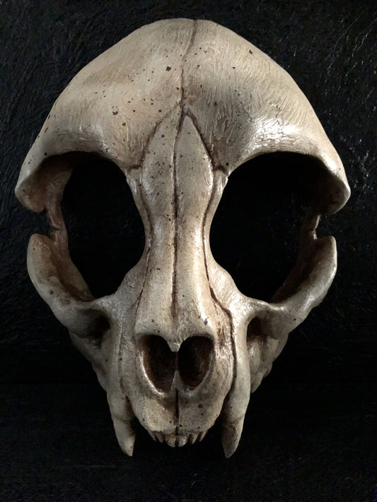 mask