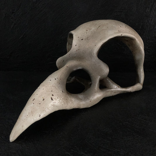 ANIMALS - Corvid Skull Mask