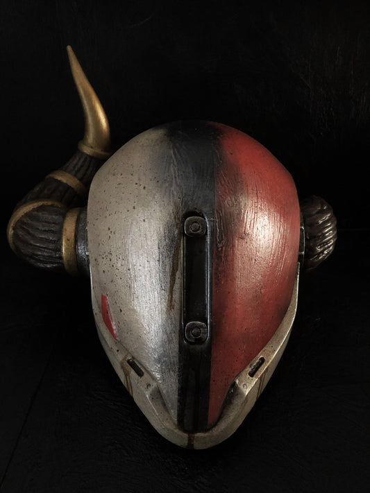 helmet