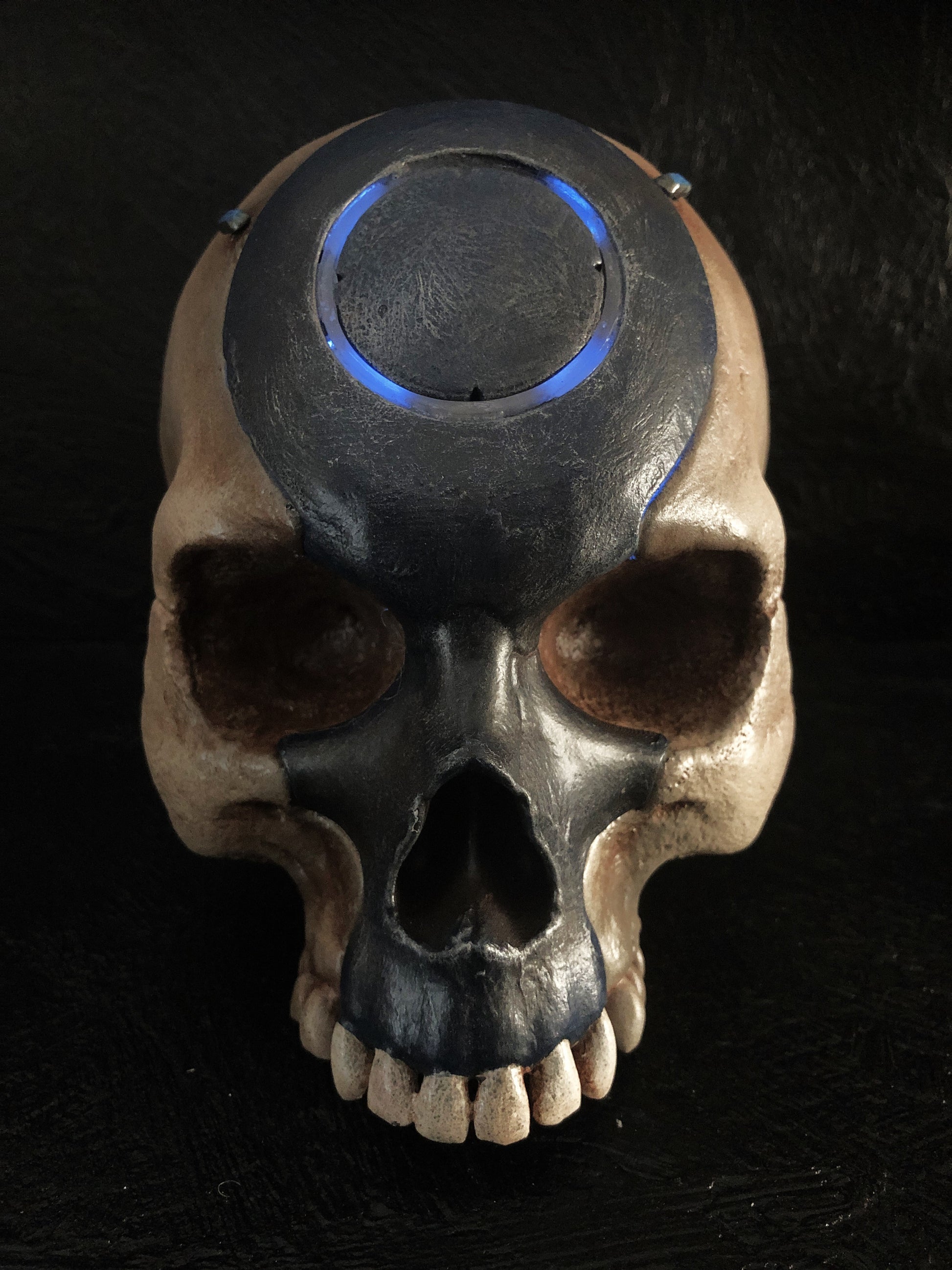 skull
