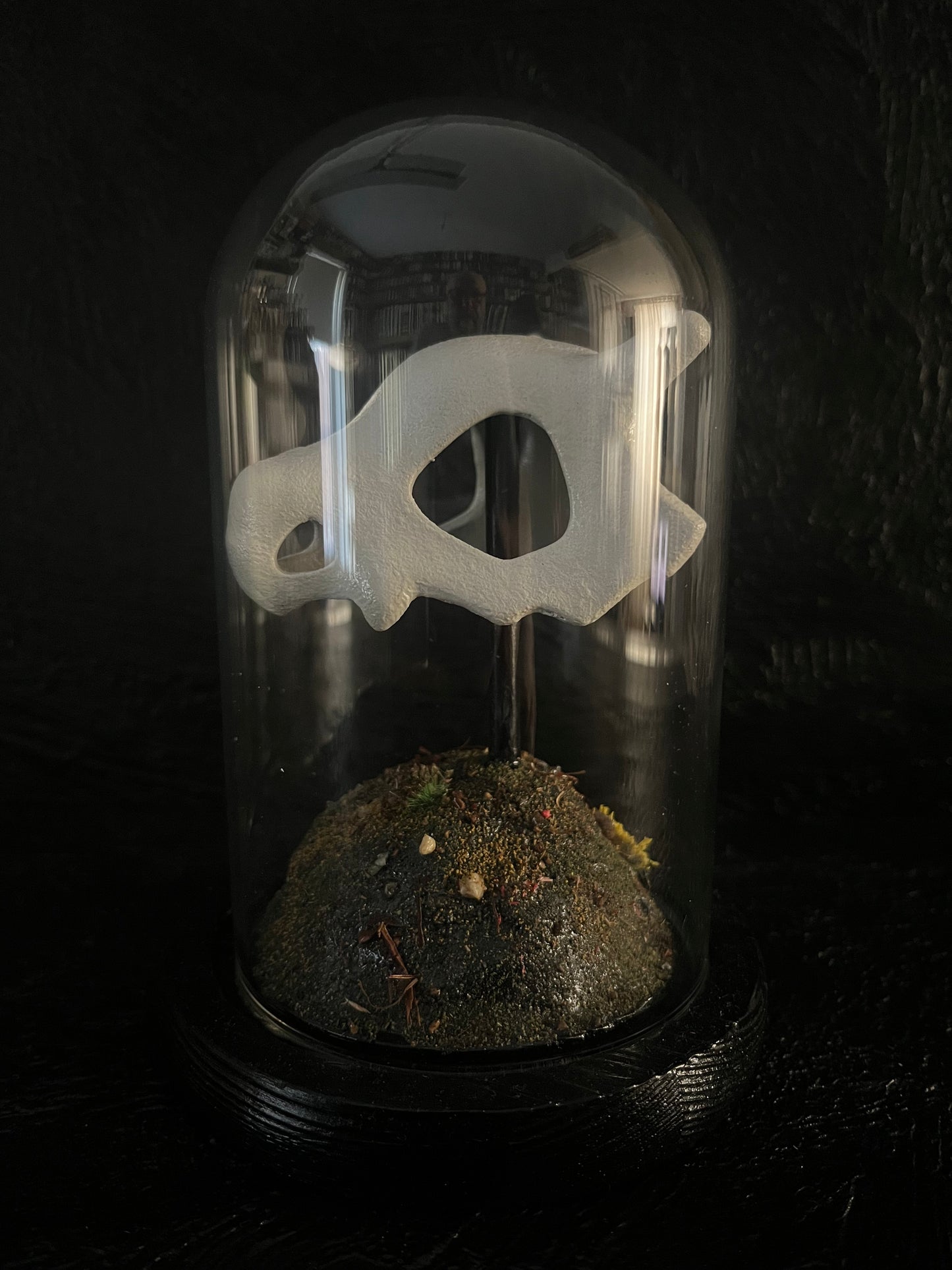 POKÉMON - Cubone Terrarium