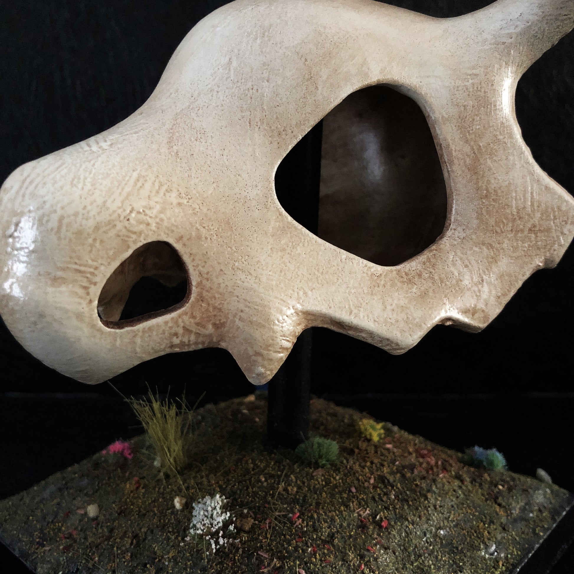 skull