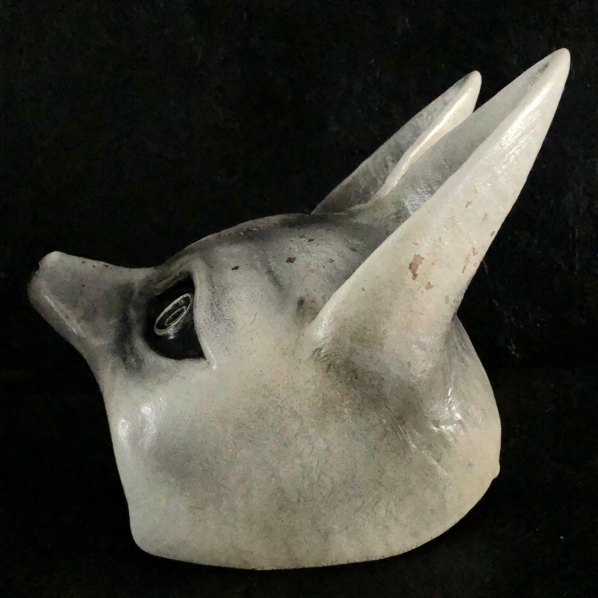 hinako shimizu mask