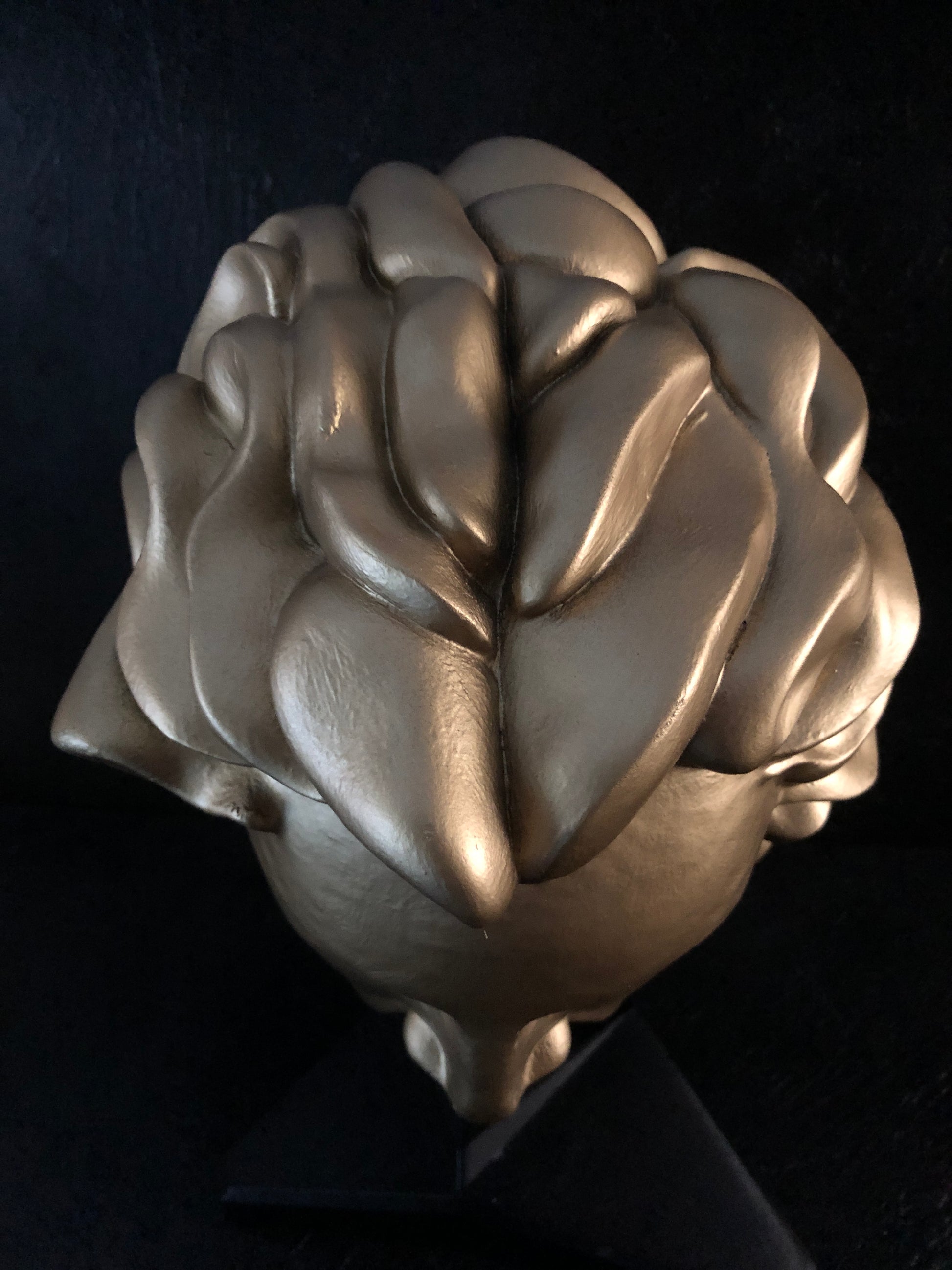 helmet